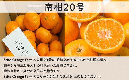 【先行予約】Saito Orange Farmの南柑20号5kg（2026年12月下旬頃より順次発送予定） IKTAQ018