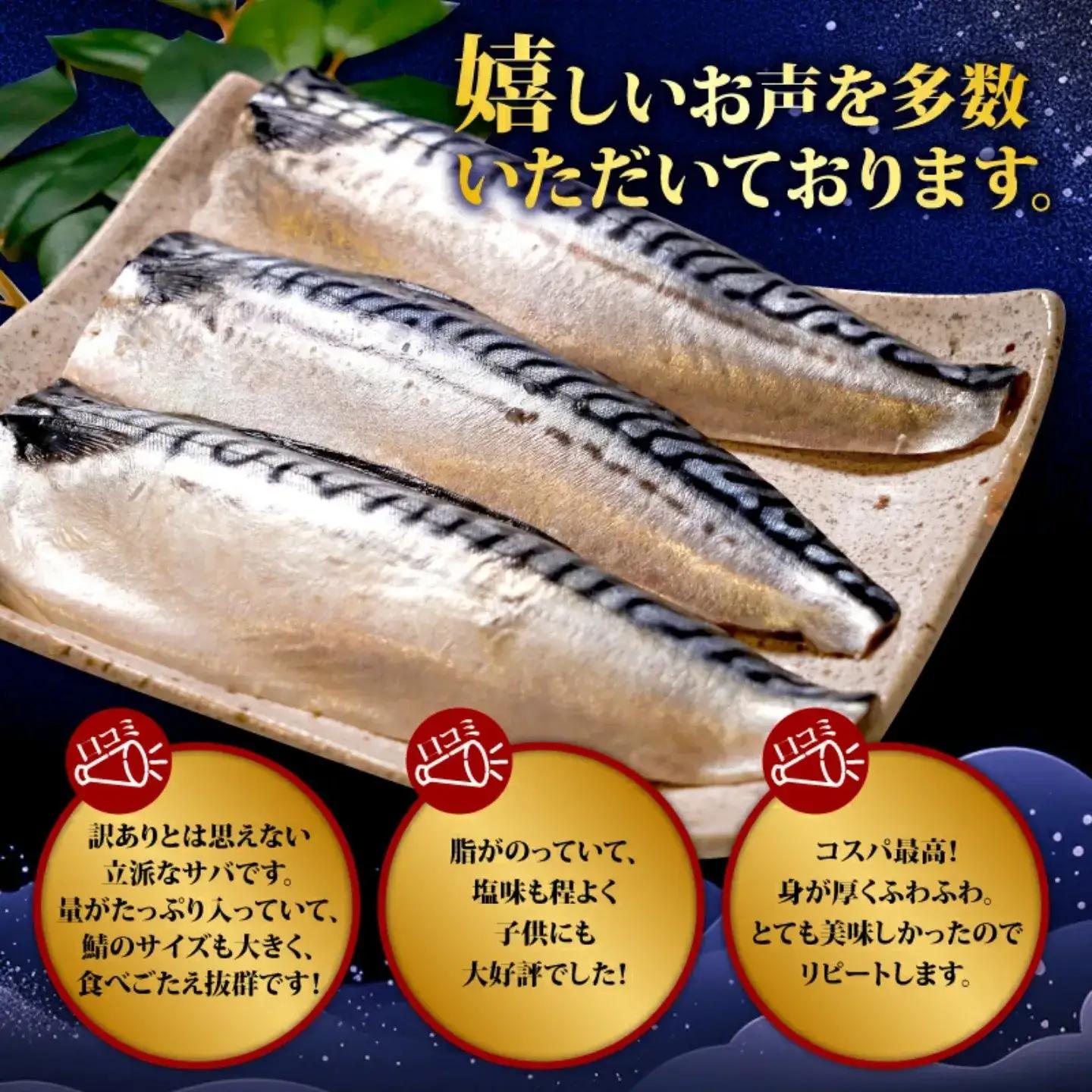 訳あり 塩鯖 3.6kg 鯖