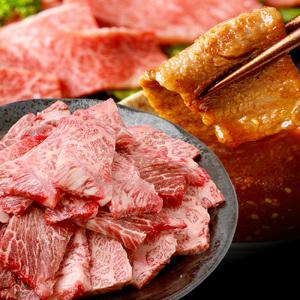 【定期便12回】くまもと 黒毛和牛 (和王) バラエティ 定期便E ブランド牛 定期便 肉 サーロイン ロース ステーキ モモ すき焼き しゃぶしゃぶ スキヤキ 焼肉 焼き肉 やきにく 牛肉 お肉 1