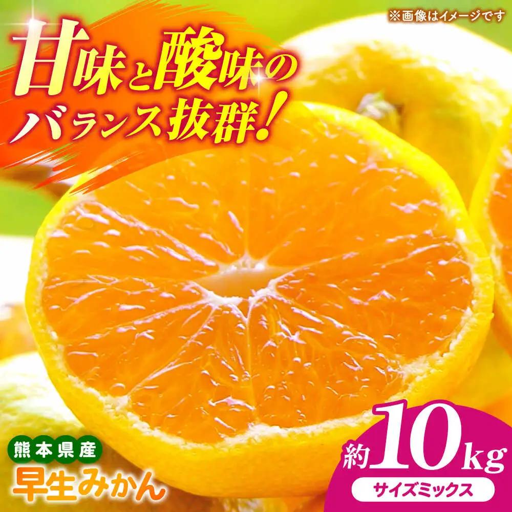【先行予約】 早生みかん 2S-2L 約10kg みかん 蜜柑 柑橘 フルーツ 果物 【日本フルーツ株式会社】[ZFJ058]