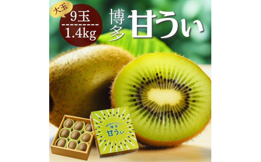 
            【2025年11月上旬より順次発送】博多甘うぃキウイ(あまうぃ)大玉 9玉入り 1.4kg相当 うまうまもぐもぐ
          
