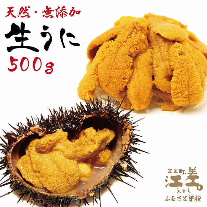 北海道 江差前浜産 生うに 500g（100g×5パック）【無添加・みょうばん不使用】江差産天然キタムラサキウニ　日本海熊石産海洋深層水　塩水ウニ　素材を生かした自然の味　国産うに　雲丹　100グラムパック個包装