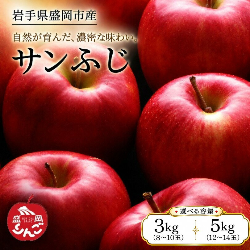 【ふるさと納税】先行予約 サンふじ りんご 選べる容量 3kg・5kg 12月発送 盛岡りんご 朝島観光りんご園 果物類 フルーツ デザート 果汁 甘い 酸味 バランス 林檎 岩手県 盛岡市 東北 岩手 盛岡 朝島観光りんご園 asashima007P