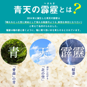 青天の霹靂　【隔月定期便6回】 5kg×6回（計30kg）米 白米 精米 青天の霹靂 定期便6回 米5kg 米30kg 青森 隔月配送 隔月定期便 ひと月おき コメ おこめ 五所川原 青森県産米 青天