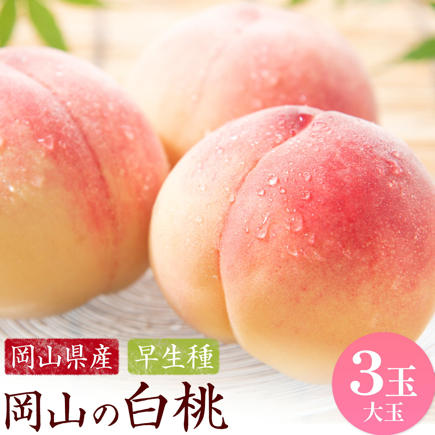 【ふるさと納税】【2027年発送先行予約】岡山の白桃 早生種 大玉3玉 約900g 晴れの国おかやま館 (つむぐ株式会社) 《2026年6月下旬-7月中旬頃出荷》岡山県 笠岡市 フルーツ 果物 果実 桃 白桃 もも モモ