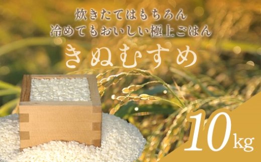 
                  A-1210 きぬむすめ 10kg
                