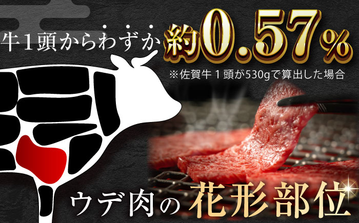 厳選佐賀牛ミスジ焼肉500g / 牛肉 / 佐賀県 / 有限会社片岡精肉店 [41AEAC014]