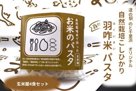 米粉 パスタ麺 玄米麺×4 こしひかり 【自然栽培米】