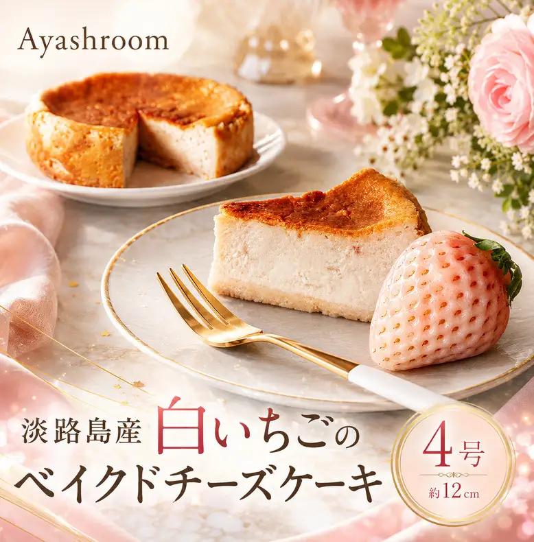 Ayashroom 白いちごベイクドチーズケーキ 4号 淡路島 洲本市