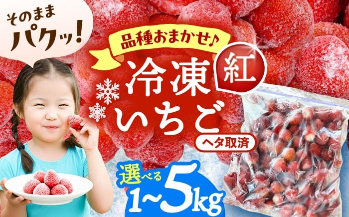 
            【選べる容量】 冷凍苺 1kg～5kg いちご 果物 フルーツ 苺 イチゴ 紅ほっぺ やよい姫 かんな姫 愛西市 / くぼ苺農園 【配達不可：離島】 [AECJ025-27]
          