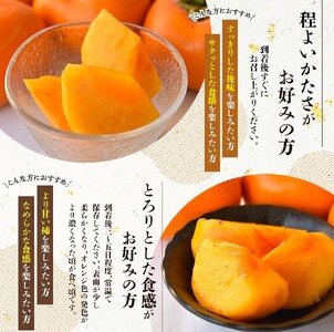 【2026年先行予約】種無し柿 早生刀根柿 2026年9月末頃～10月末頃に順次発送予定（お届け日指定不可）/ 和歌山 柿 かき フルーツ 果物 くだもの 刀根 種無し【kgr003A】