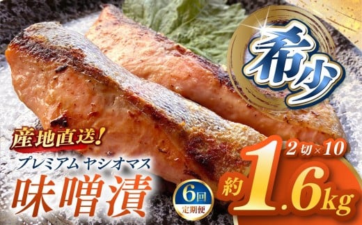 【定期便6回】「プレミアムヤシオマス」の味噌漬 2切入×10パック  [ 冷凍便 ] | 魚 ます 養殖 産地直送 栃木県 (毎月お届け）