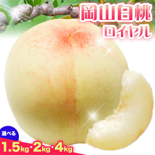 【ふるさと納税】【2025年 先行受付】岡山白桃（ロイヤル）約1.5kg 約2kg 約4kg 有限会社 土方商店《7月上旬-8月上旬頃出荷》岡山県 備前市 白桃 桃 ロイヤル もも 果物 フルーツ