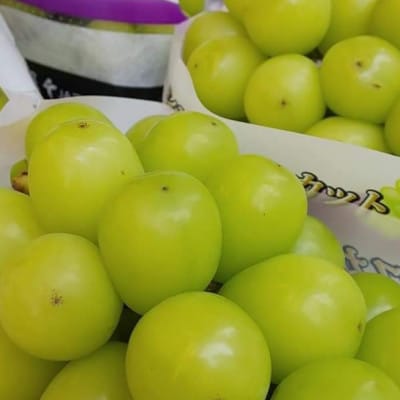 2025年9月下旬発送「幻の牧丘天空シャインマスカット」 約1kg(2～3房)【配送不可地域：離島・沖縄県】