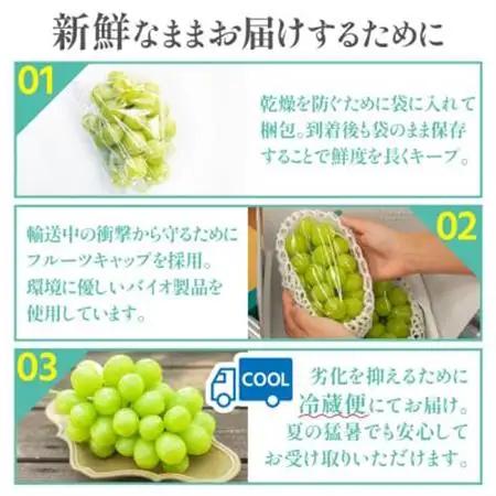 【数量限定】6月下旬～7月中旬発送ハウス栽培の『シャインマスカット』 2房　約1kg【配送不可地域：離島・沖縄県】【1041839】