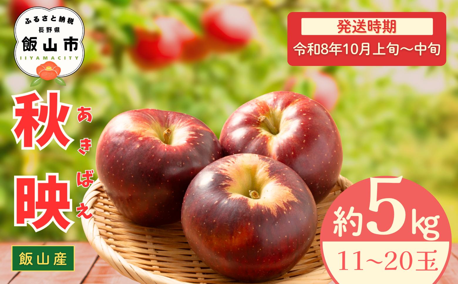 
            【先行予約丨2026年10月上旬より順次発送】秋映【約5kg (11〜20玉)】(At-009)丨長野県 飯山市 おすすめ ランキング おいしい 高評価 大人気 先取り 産地直送 りんご 秋映
          