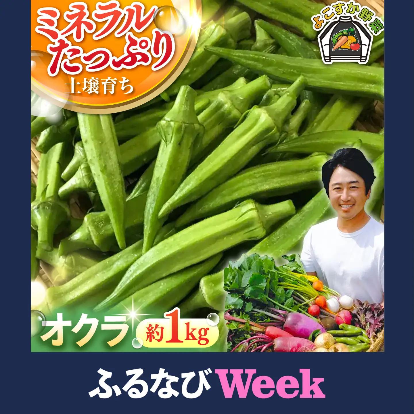 先行予約 オクラ 約1kg AKCE023 オクラ