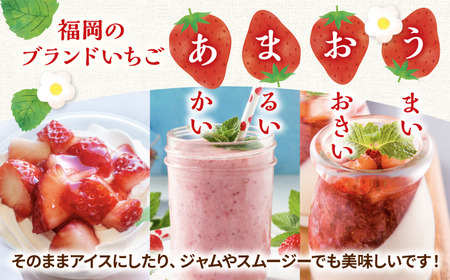 【全12回定期便】【訳あり】博多和牛 サーロインステーキ ＆ あまおう セット1.3kg   桂川町/株式会社 MEAT PLUS[ADAQ068]