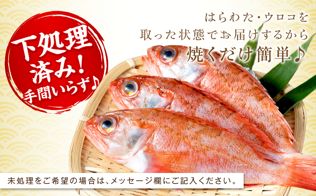 幻の高級魚「のどぐろ（鮮魚）」魚介 のどぐろ 鮮魚 高級魚 ふるさと納税 のどくろ 魚 のどぐろ 旬 期間限定 鮮魚 のどぐろ 【006_2041】