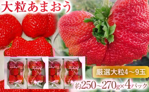  【2026年2月上旬より順次発送】 大粒あまおう 4パック いちご 苺 フルーツ 果物 くだもの 福岡県 福岡 九州 グルメ お取り寄せ