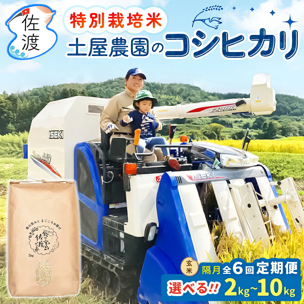 【ふるさと納税】【隔月定期便 全6回】玄米 コシヒカリ 2kg 5kg 10kg 選べる 令和8年産 特別栽培米 土屋農園 佐渡島産 こしひかり お米 ごはん おにぎり 新潟県 佐渡市