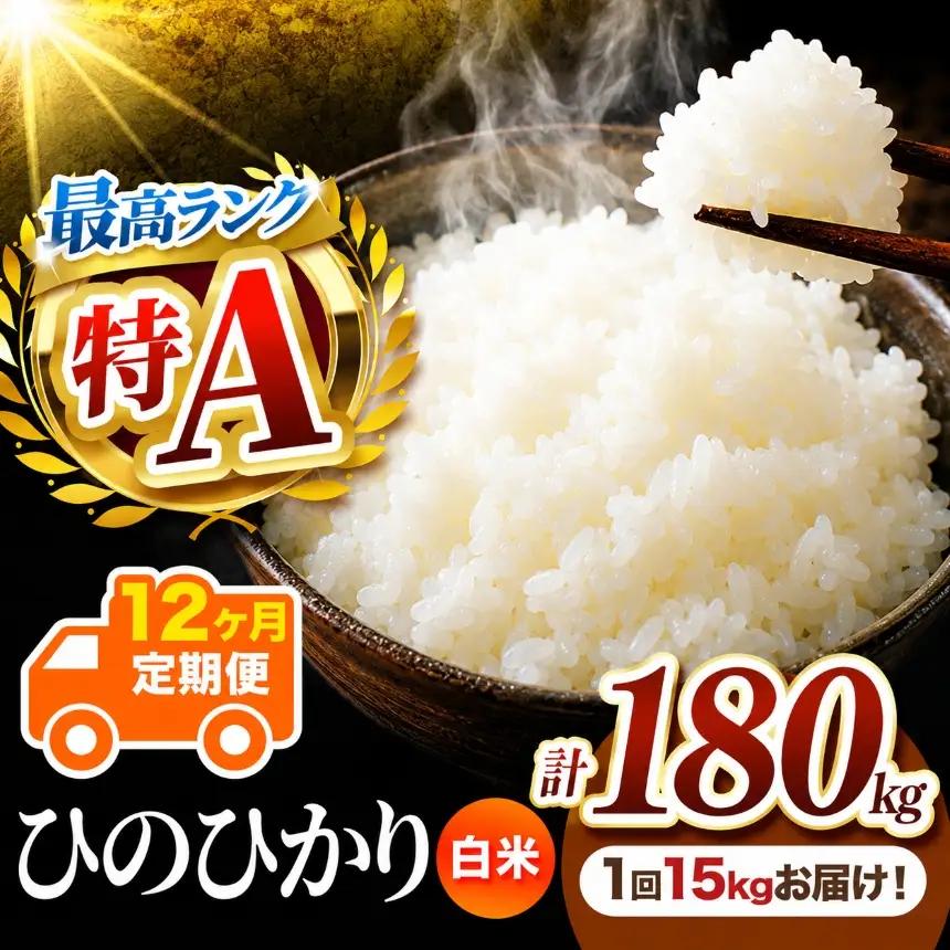 【 定期便 12回 】 R7年産 熊本県産 白米 ひのひかり 15kg