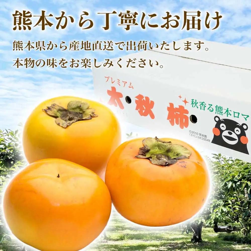先行予約 柿 太秋柿 約6kg(16～30玉) 【2026年9月上旬～10月下旬発送予定】