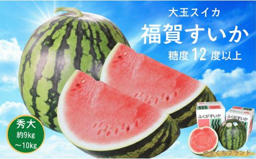 【先行予約】 福賀 すいか 秀大 約9〜10kg 圧巻の大玉＆シャリシャリ食感 高糖度 山口県 阿武町産 1個（希少1株1玉栽培） 産地直送 【2026年7月上旬～順次発送予定】