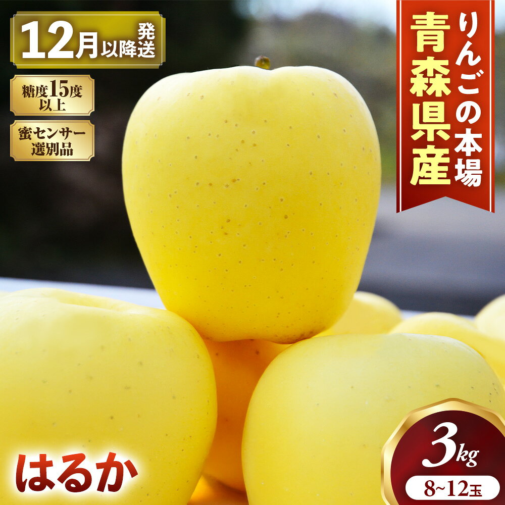 【ふるさと納税】【先行予約】 高級りんご はるか 約3kg 8〜12玉【2026年産 | 12月上旬〜2027年1月上旬頃まで発送予定】りんご 林檎 リンゴ 希少 はるか フルーツ 果物 国産 贈答 土産 青森県 三戸町