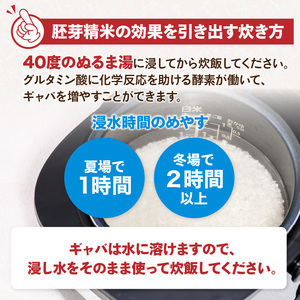 《3ヶ月定期便》山形県産 無洗米 はえぬき 胚芽精米 10kg(2kg×5袋)【山形県産 BG精米製法】 036-T27