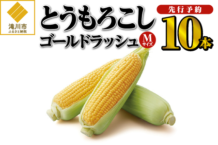 	 【令和6年出荷受付】とうもろこし(ゴールドラッシュ)Mサイズ10本