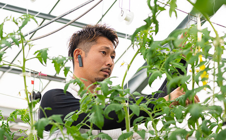 【お中元やお歳暮に人気！】3種のトマトジュース（1リットル）3本セット 野菜飲料 飲料類 果汁飲料 