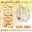 【ふるさと納税】【6か月定期便】ビーガン米20kg　白米【植物性で育てた完全無農薬のサガンベジブランド】（CQ031）