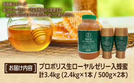 コハマのハチミツ プロポリス 生ローヤルゼリー入蜂蜜 計3.4kg (2.4kg×1本 / 500g×2本) 蜂蜜 はちみつ ハチミツ 国産 ギフト 沖縄市 / 農業生産法人株式会社小浜養蜂場[BCA