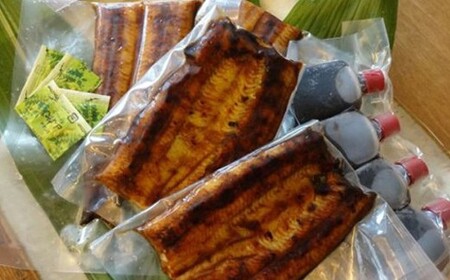 120年守り抜いた秘伝のたれで焼いた国産うなぎの蒲焼2尾(4人前)セット 国産 うなぎ 2尾 魚介類 魚貝類 父の日 土用の丑の日 お祝い お中元 夏バテ防止 疲労回復 おかず つまみ【326】