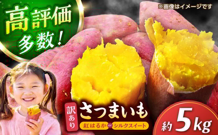 
            【先行予約】訳あり さつまいも 紅はるか or シルクスイート 蜜芋 5kg サツマイモ さつま芋 サツマ芋 薩摩芋 サイズ 大 小 5キロ 詰め合わせ 人気 名産 お芋 ねっとり しっとり 甘い 甘藷 唐芋 保存 種類 産地 品種 量 国産 産地直送 濃厚 甘味 熊本県 特産品 芋 熟成 【合同会社 福福堂】[ZCN013]
          