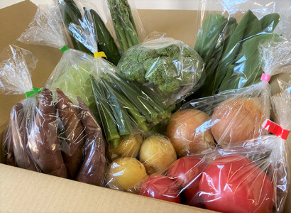 季節のお野菜セット（7~10種） 国産 鳥取県産品 定期便 詰め合わせ 新鮮