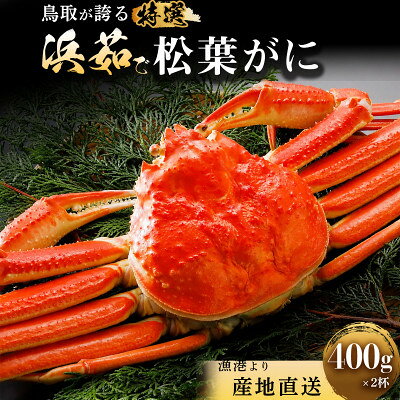 【ふるさと納税】【蟹セレブ】松葉がに 約400g×2杯【配送不可地域：離島・北海道・沖縄県】【2002003】