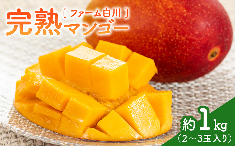 ファーム白川の完熟マンゴー1kg　C032-002
