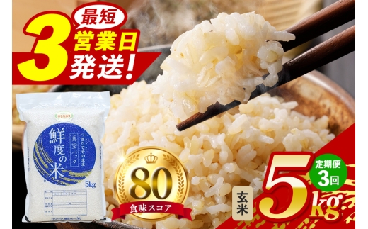【定期便3回】こしひかり 玄米 5kg (計15kg) 真空パック A17-017