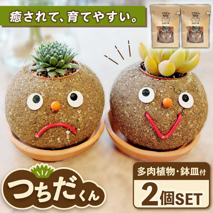 【ふるさと納税】つちだくん2個セット 多肉 ポット セット 愛西市/花のひより園 [AEAX003]