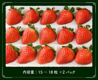 【令和8年発送】宮崎県産いちご　さがほのかL～2L（15～18粒入）×2パック 【 国産 イチゴ 苺 果物 くだもの 期間限定 数量限定 】[C04602]