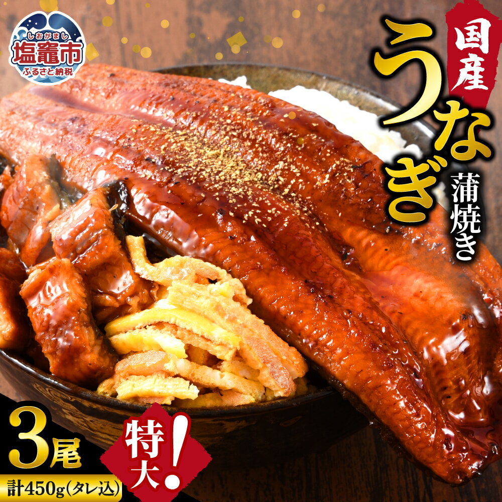 【ふるさと納税】 鰻 うなぎ 蒲焼き 国産 3尾 セット (計450g) 冷凍 ふっくら 肉 厚 蒲焼 国産うなぎ 魚介 魚 うなぎの蒲焼き 蒲焼長焼 ご褒美 惣菜 丑の日 人気 冬うなぎ おすすめ うなぎ蒲焼き 塩竈市 塩釜市 三波食品