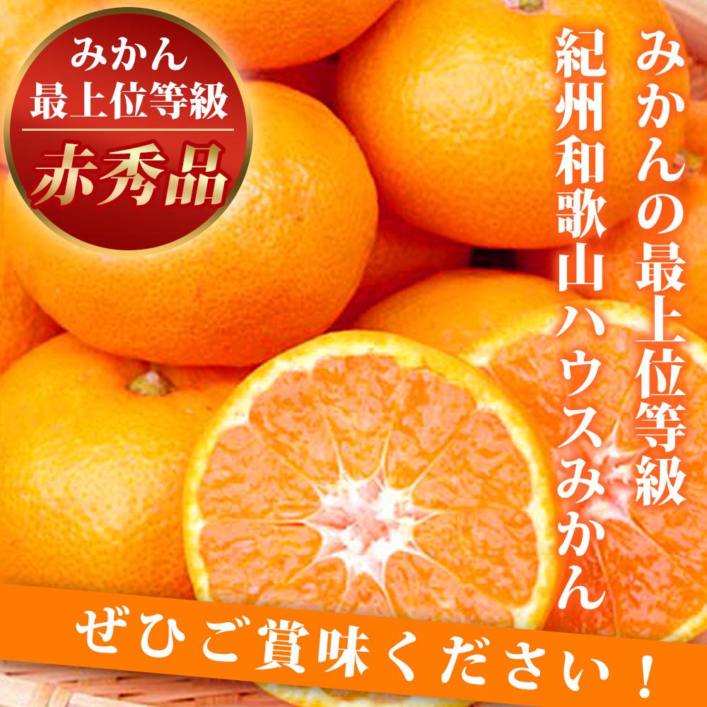 【ふるさと納税】赤秀品 紀州和歌山ハウスみかん 2.5kg【2025年6月下旬頃～2025年7月中旬頃に順次発送】【UT87】