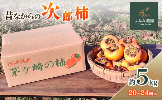 
                  茅ヶ崎市 昔ながらの次郎柿 約5kg (20～24個入り) よゐな農園 柿 かき カキ 次郎柿 果物 くだもの フルーツ 神奈川県 茅ヶ崎市
                