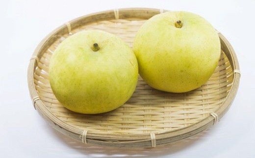 
                  なつひめ（秀）3kg 7～10玉 あきやま園 8月下旬から順次発送【もぎたて 旬 フルーツ 果物 青梨 梨】＜Y1108＞
                