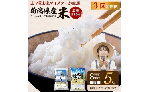 R8年産 新潟県産 品種おまかせ  5kg 3か月定期便 新潟県 新潟市産 令和8年産 お米 精米 米 ご飯 送料無料