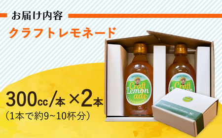 【お中元対象】ながさきクラフトレモネード 2本[EBU001]  ジュース じゅーす 国産ジュース レモンジュース フルーツジュース れもねーど レモネードベース レモネードシロップ シロップ レモン