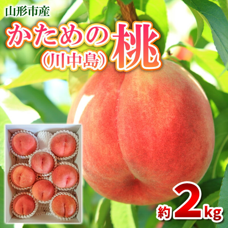 【ふるさと納税】かための桃 秀 約2kg (6～9玉) [川中島] FY25-295
