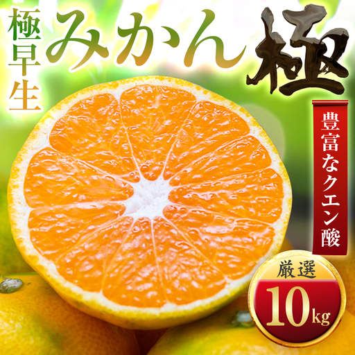 【太陽をたっぷり浴びた】極早生みかん【極】10kg(小玉)【F49-36】【1508907】 YWTZ028